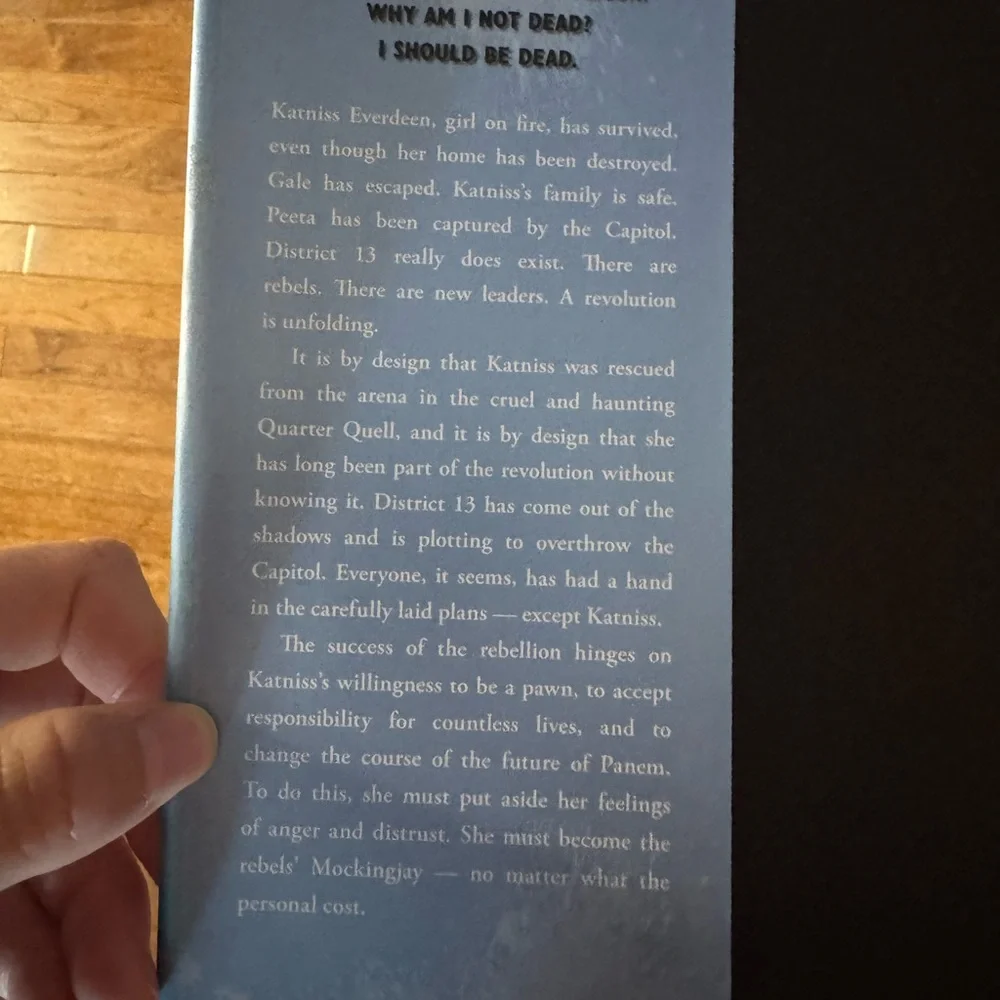 Mockingjay - Picture 2 of 2